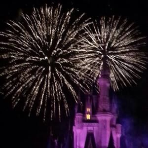 Meet your Posher, Lynn